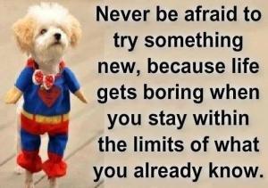 Never-be-afraid-to-try-something-new
